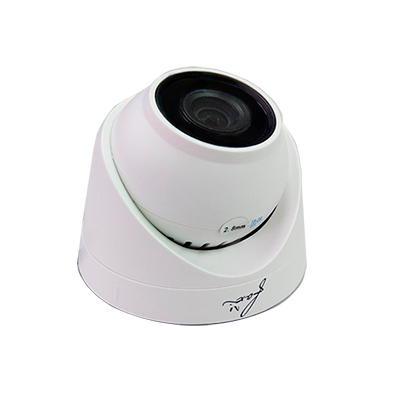 FX-D1P-IR